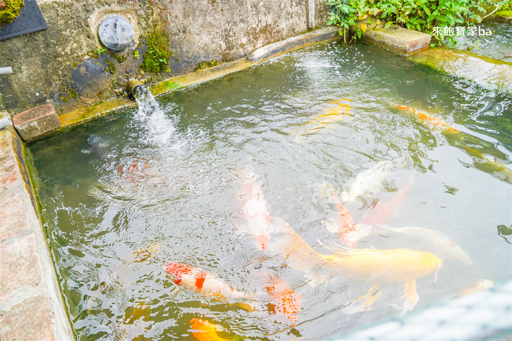 苗栗公館【棗莊古藝庭園膳坊】苗栗親子友善餐廳~平價客家餐廳附可愛動物區跟沙坑 @來飽寶家ba