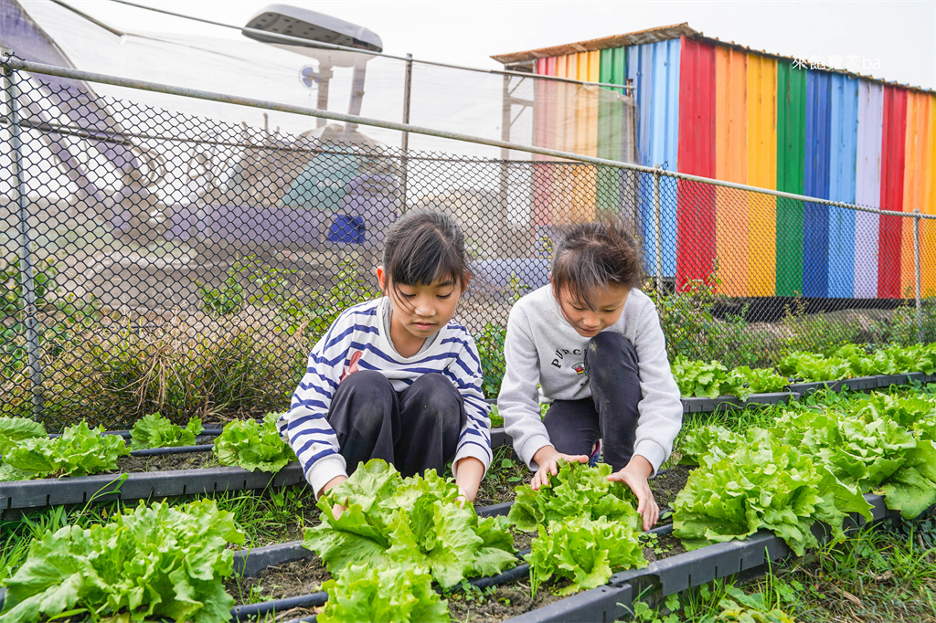 彰化親子景點【樂採果溫室觀光農場】彰化控窯、採草莓、採番茄，親子農遊體驗！ @來飽寶家ba