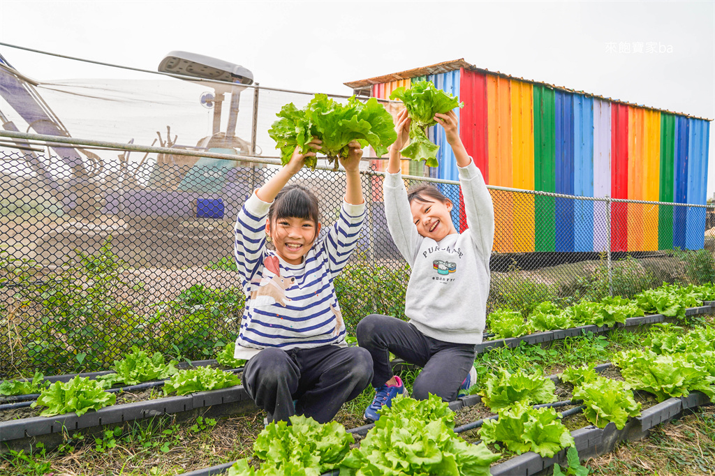 彰化親子景點【樂採果溫室觀光農場】彰化控窯、採草莓、採番茄，親子農遊體驗！ @來飽寶家ba