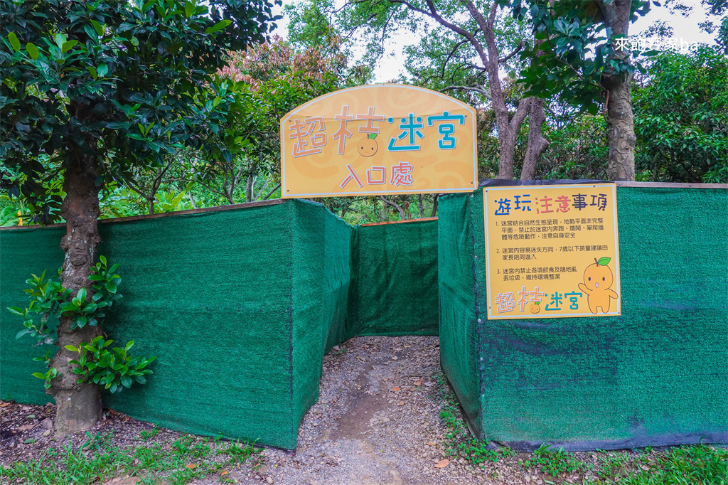 嘉義民雄景點【民雄金桔觀光工廠】金桔農莊免門票！招待金桔茶飲，樹屋溜滑梯、繩索、沙坑免費兒童遊戲場 @來飽寶家ba