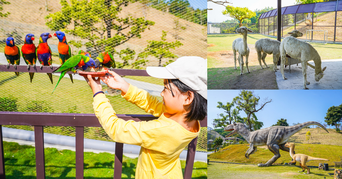 【南投草屯】九九峰動物樂園｜亞洲最大的鳥類主題動物園，零距離互動的開放式園區（門票／評價／餵食時刻表） @來飽寶家ba