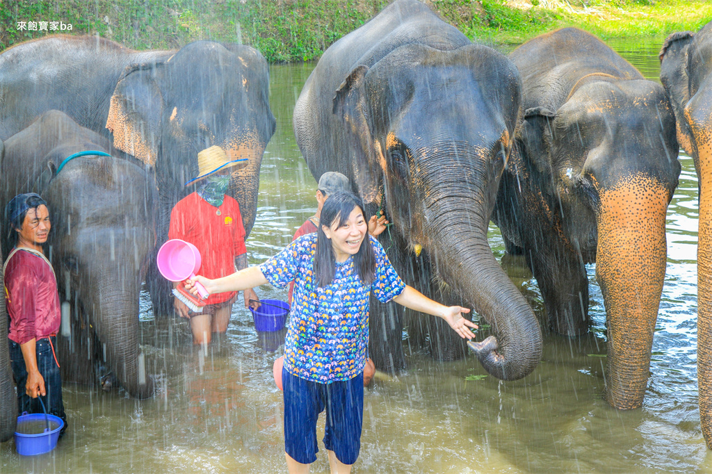 【清邁行程推薦】坎塔大象保護區半日遊｜餵食、幫大象洗澡，不騎大象一樣能與大象親密接觸！ @來飽寶家ba