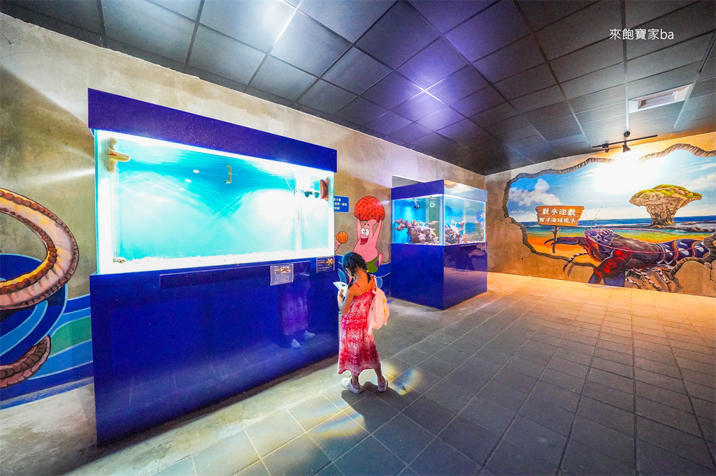 【小琉球景點】小琉球海洋館｜全新可愛動物區，結合海洋生物的親子景點 @來飽寶家ba