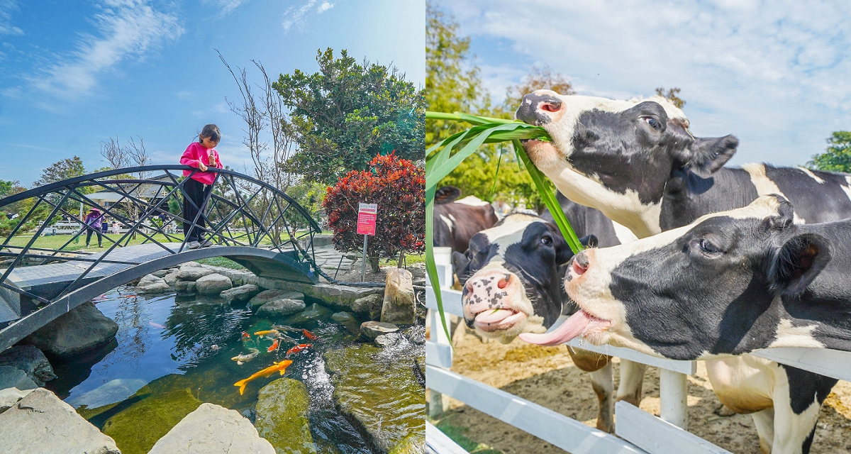 澄清湖兒童樂園 | 海盜船遊具、沙坑 | 高雄市民憑身分證件免費入園玩唷！ @來飽寶家ba