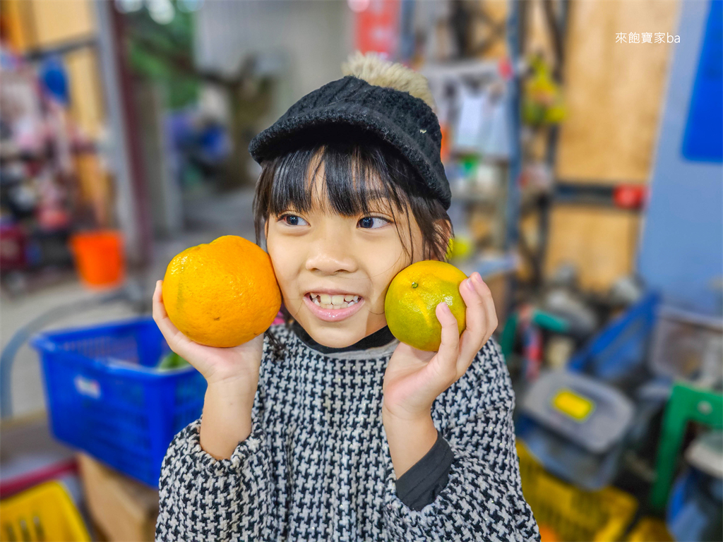 【台中大坑】東昇觀光果園｜每年11、12月限定採橘，現場橘子吃到飽！ @來飽寶家ba