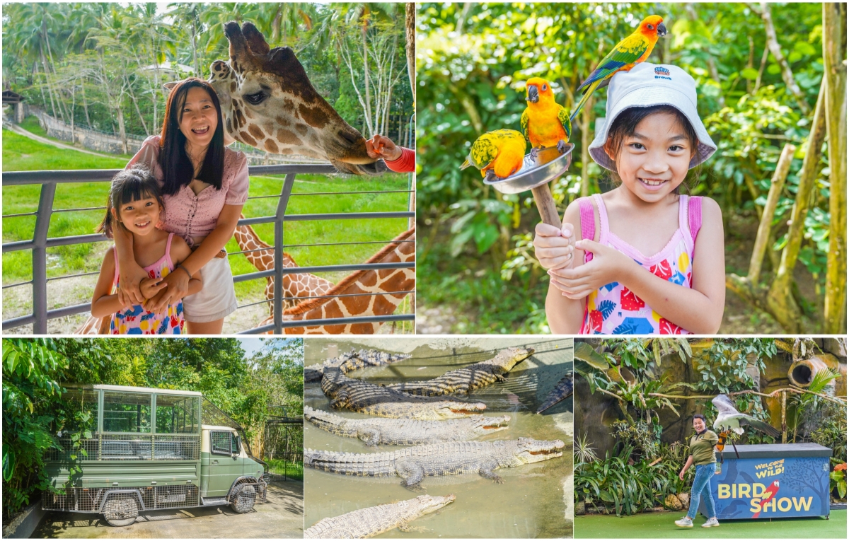 宿霧景點推薦【宿霧野生動物園 Cebu Safari and Adventure Park】一日遊攻略（門票、評價、交通） @來飽寶家ba