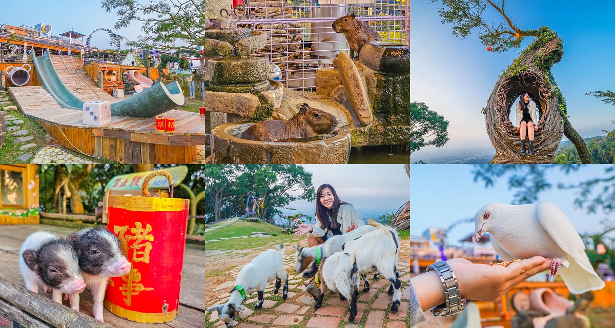 南投景點推薦【星月天空夜景景觀餐廳】百萬夜景xU型滑梯x可愛動物區餵鴿子、水豚、草尼馬 @來飽寶家ba