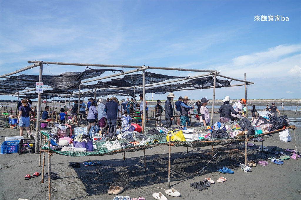彰化親子景點【王功貓哥潮間帶生態之旅】王功一日遊~採蚵鐵牛車，200元挖蛤烤蚵吃到飽！ @來飽寶家ba