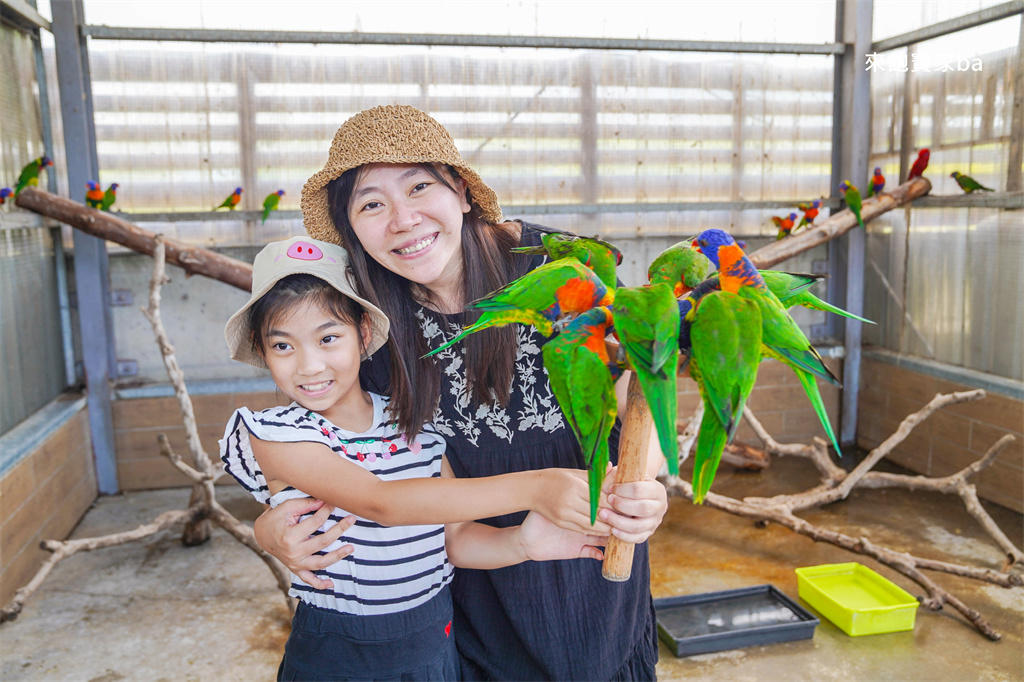 嘉義民雄【三隻小豬觀光農場】超過20種動物及鳥園，還有戲水池跟沙坑，美拍又好玩！（最新票價/表演時刻表） @來飽寶家ba