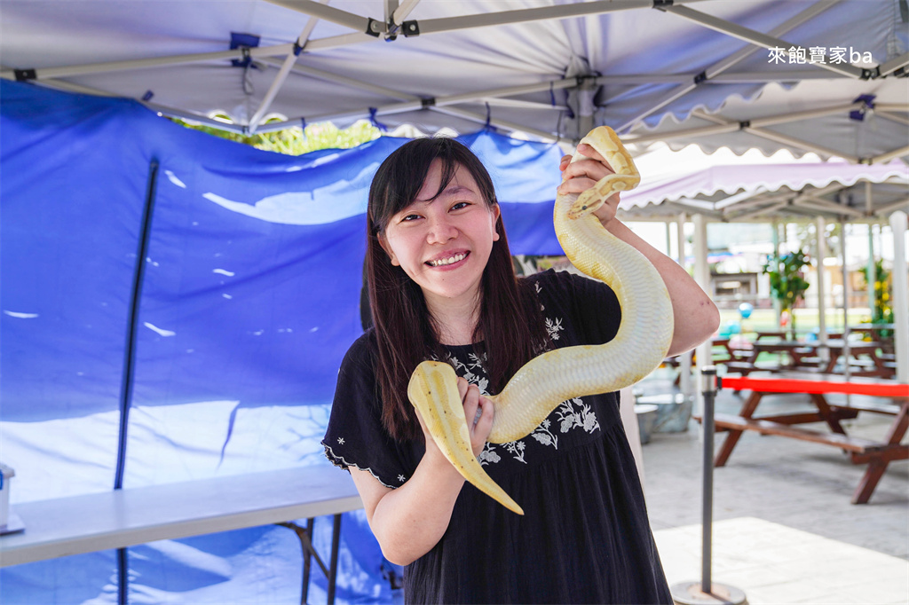 嘉義民雄【三隻小豬觀光農場】超過20種動物及鳥園，還有戲水池跟沙坑，美拍又好玩！（最新票價/表演時刻表） @來飽寶家ba