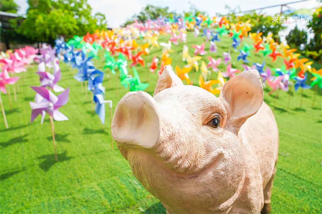 嘉義民雄【三隻小豬觀光農場】超過20種動物及鳥園，還有戲水池跟沙坑，美拍又好玩！（最新票價/表演時刻表） @來飽寶家ba