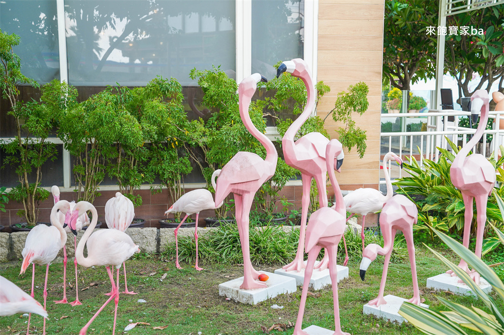 嘉義民雄【三隻小豬觀光農場】超過20種動物及鳥園，還有戲水池跟沙坑，美拍又好玩！（最新票價/表演時刻表） @來飽寶家ba