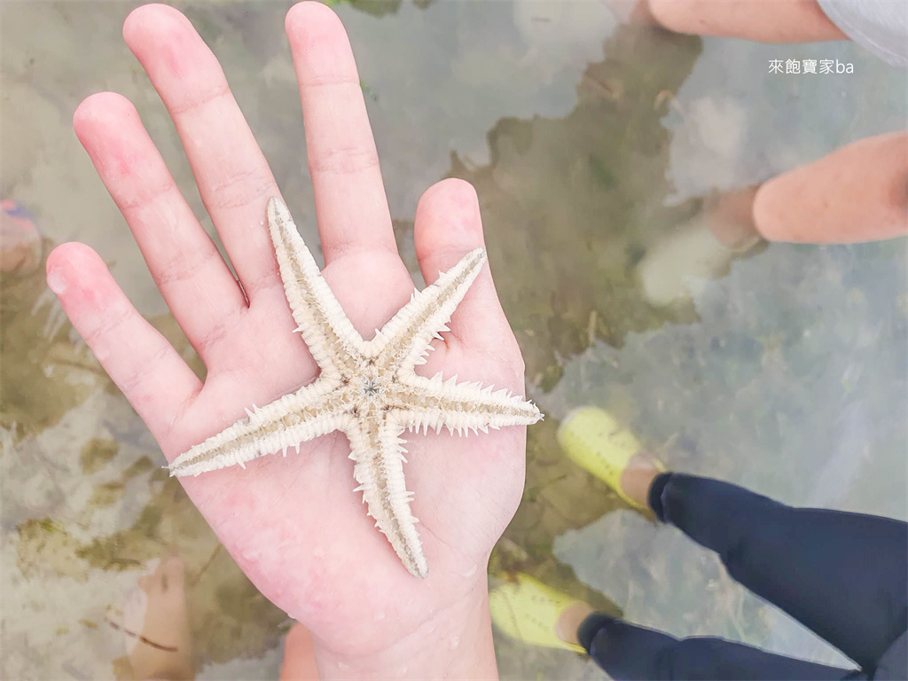 宿霧跳島【資生堂島】Caohagan Island~浮潛行程、現撈海鮮飲食、交通方式 @來飽寶家ba