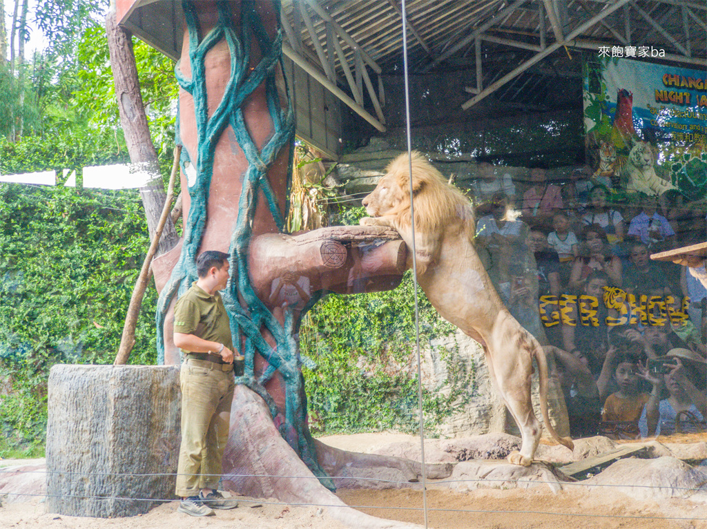 清邁景點【清邁夜間動物園】Chiang Mai Night Safari行程建議／門票優惠／交通方式 @來飽寶家ba