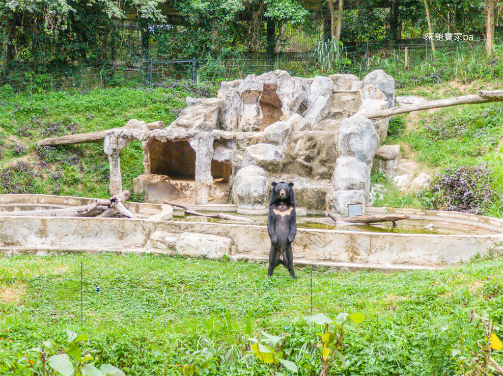 清邁景點【清邁夜間動物園】Chiang Mai Night Safari行程建議／門票優惠／交通方式 @來飽寶家ba