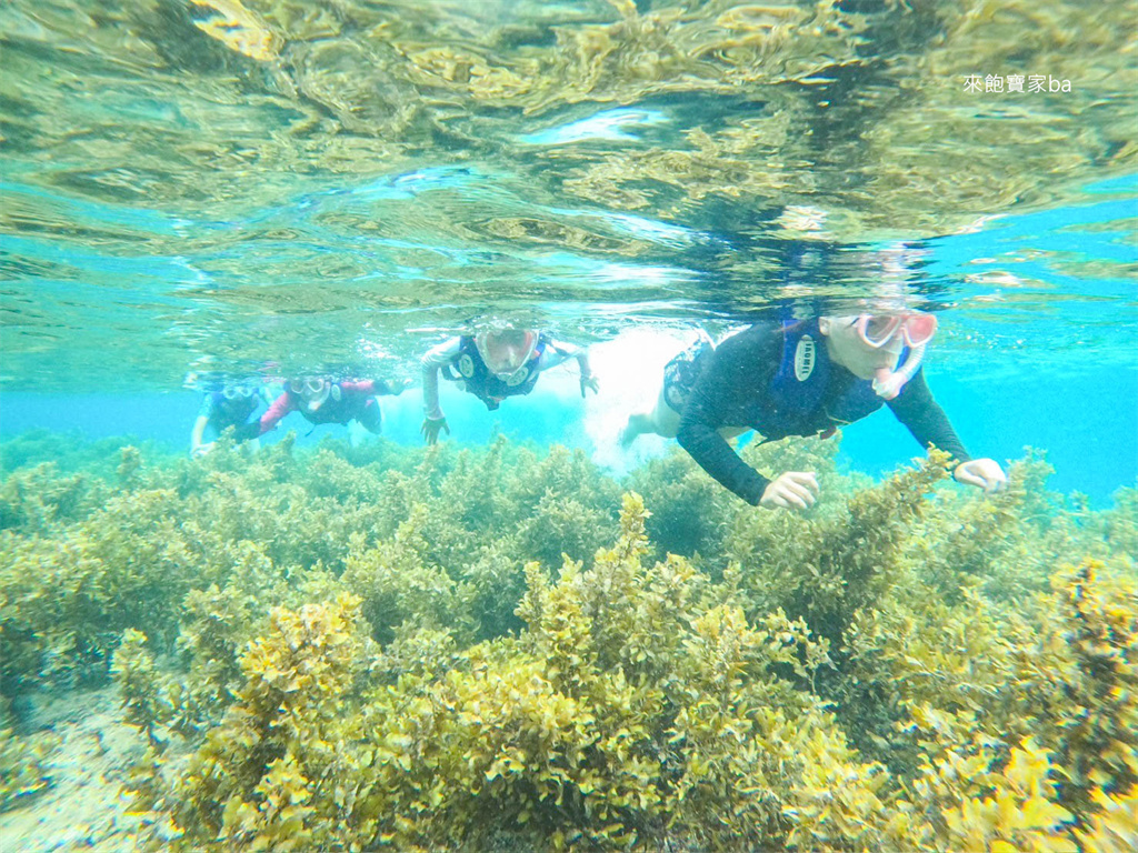 薄荷島景點【沙丁魚風暴】 免去墨寶，Napaling Reef納帕林就能體驗壯觀沙丁魚風暴！ @來飽寶家ba