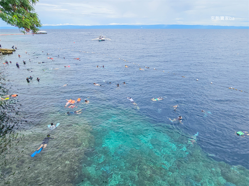 薄荷島景點【沙丁魚風暴】 免去墨寶，Napaling Reef納帕林就能體驗壯觀沙丁魚風暴！ @來飽寶家ba