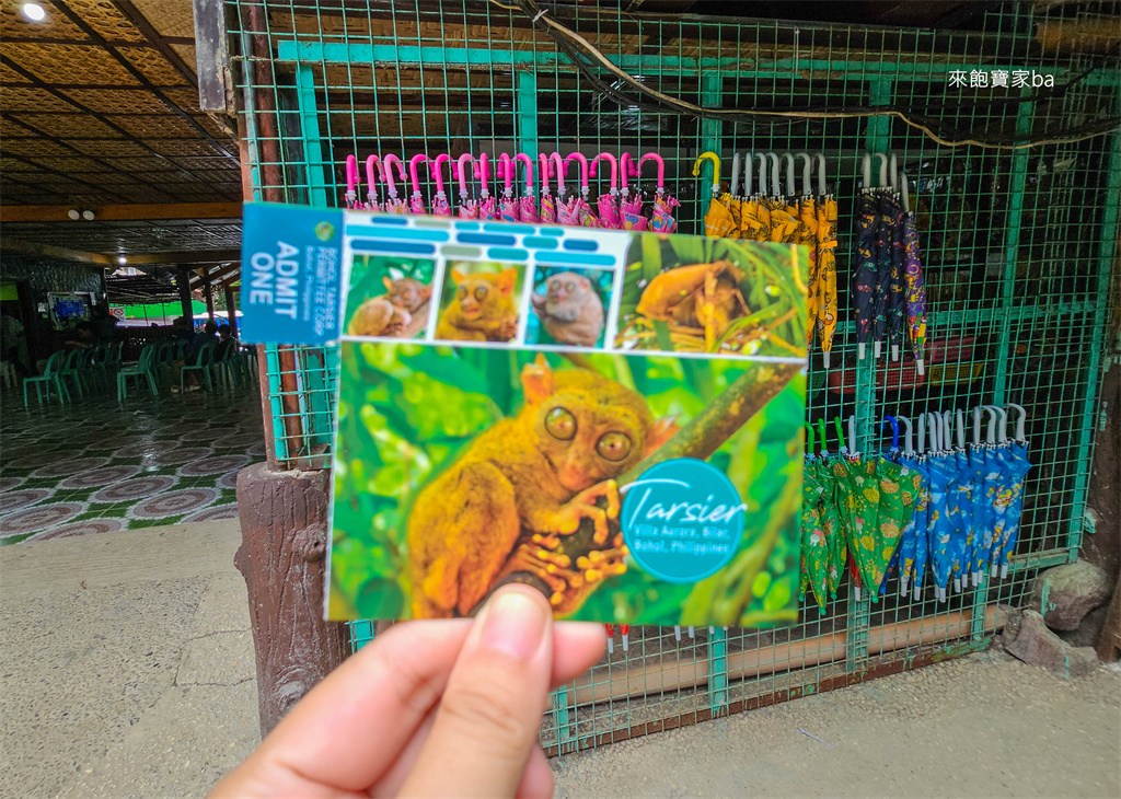 薄荷島景點【眼鏡猴保護區】Bohol Tarsier Conservation Area 門票、交通方式 @來飽寶家ba