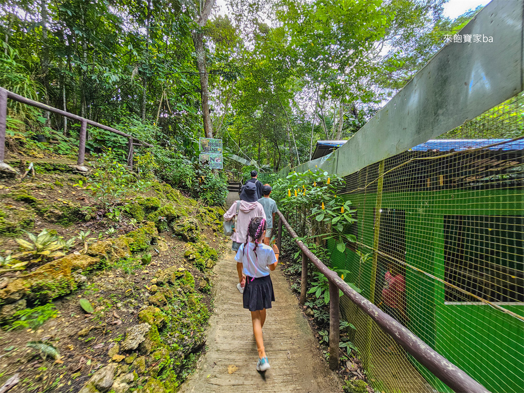 薄荷島景點【眼鏡猴保護區】Bohol Tarsier Conservation Area 門票、交通方式 @來飽寶家ba