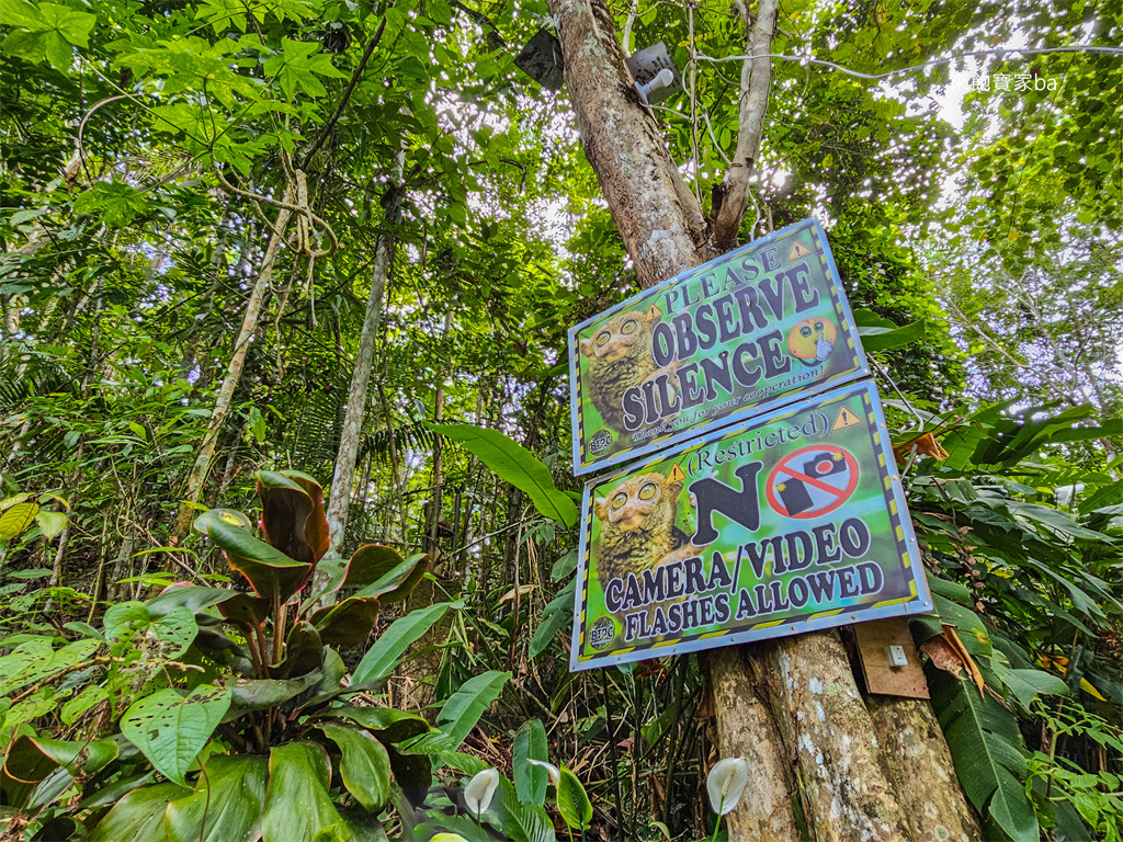 薄荷島景點【眼鏡猴保護區】Bohol Tarsier Conservation Area 門票、交通方式 @來飽寶家ba