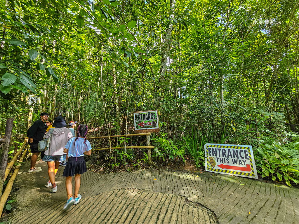 薄荷島景點【眼鏡猴保護區】Bohol Tarsier Conservation Area 門票、交通方式 @來飽寶家ba