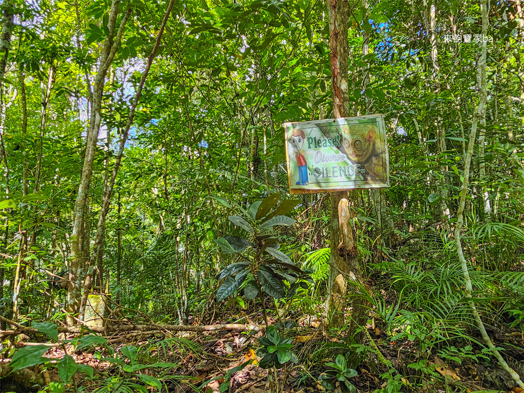 薄荷島景點【眼鏡猴保護區】Bohol Tarsier Conservation Area 門票、交通方式 @來飽寶家ba