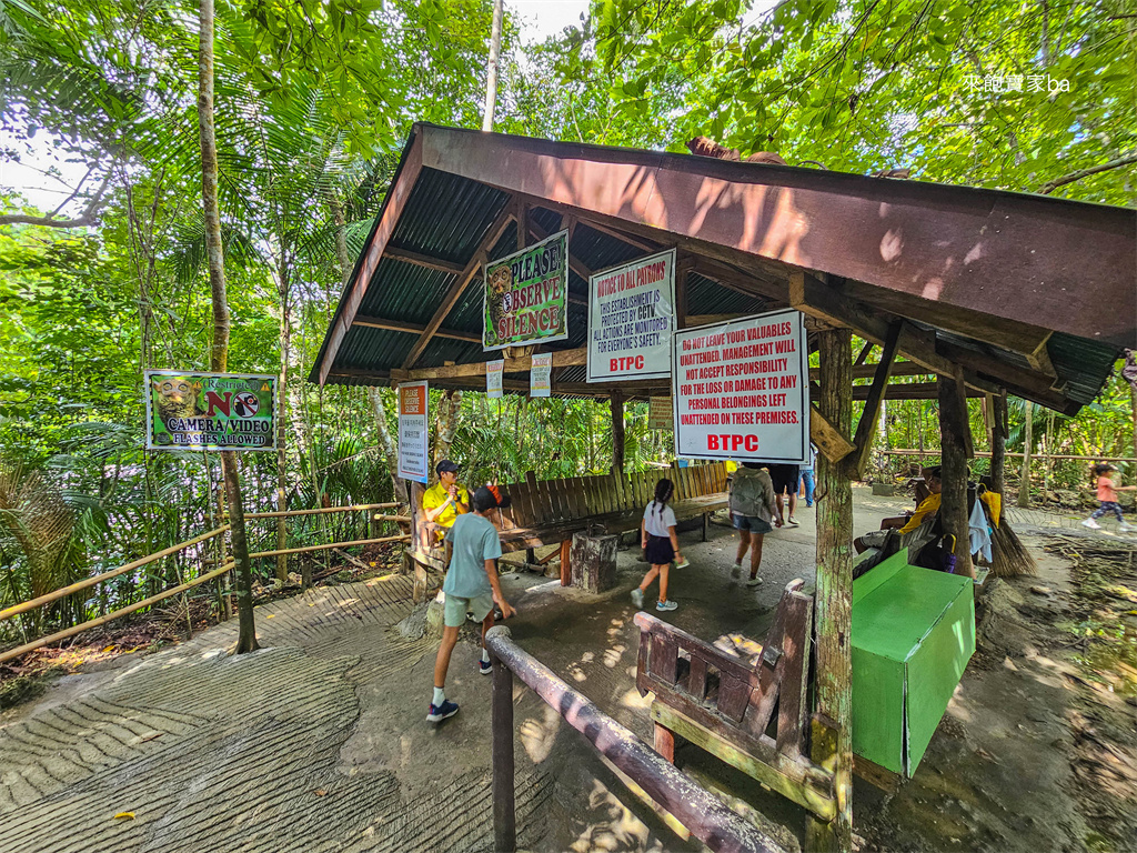 薄荷島景點【眼鏡猴保護區】Bohol Tarsier Conservation Area 門票、交通方式 @來飽寶家ba