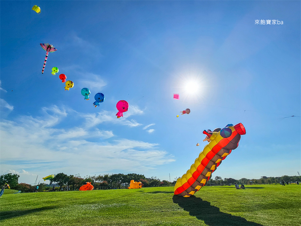 台中后里【后里環保公園】週週免費風箏節~各式特色巨型風箏飛上天！ @來飽寶家ba