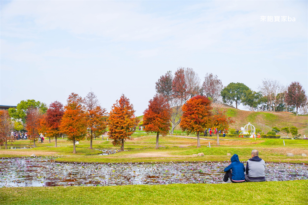 台中后里【后里環保公園】放風箏、暢玩孩籽世界遊戲場，絕美台中落羽松景點 @來飽寶家ba