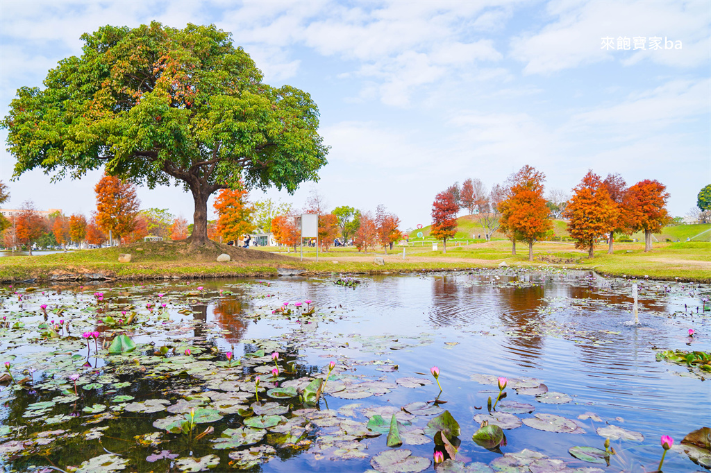 台中后里【后里環保公園】放風箏、暢玩孩籽世界遊戲場，絕美台中落羽松景點 @來飽寶家ba