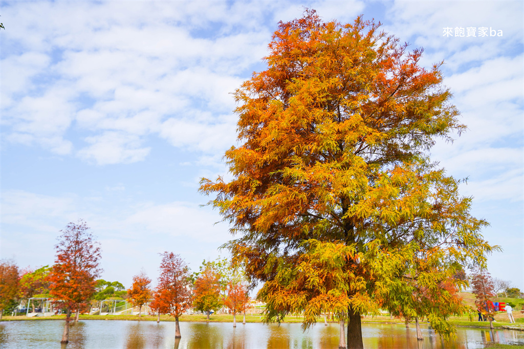 台中后里【后里環保公園】放風箏、暢玩孩籽世界遊戲場，絕美台中落羽松景點 @來飽寶家ba