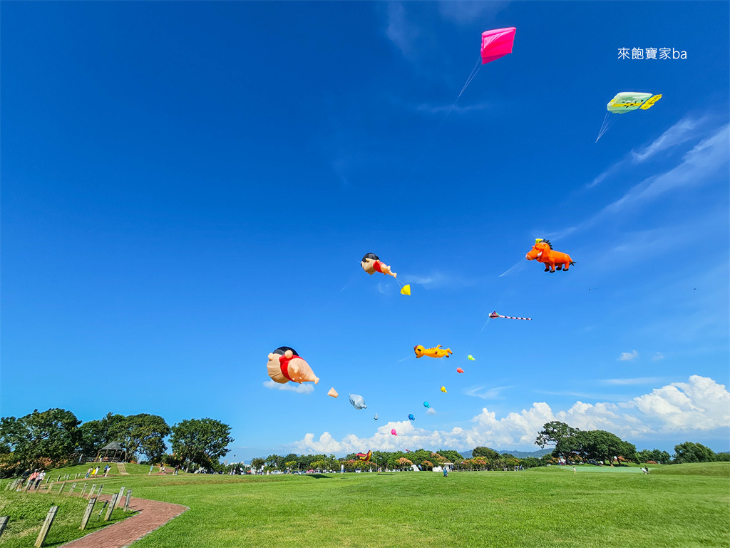 台中后里【后里環保公園】週週免費風箏節~各式特色巨型風箏飛上天！ @來飽寶家ba