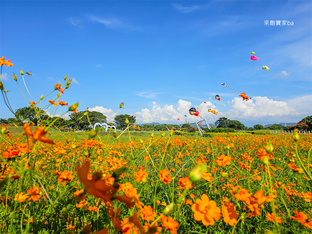 台中后里【后里環保公園】週週免費風箏節~各式特色巨型風箏飛上天！ @來飽寶家ba