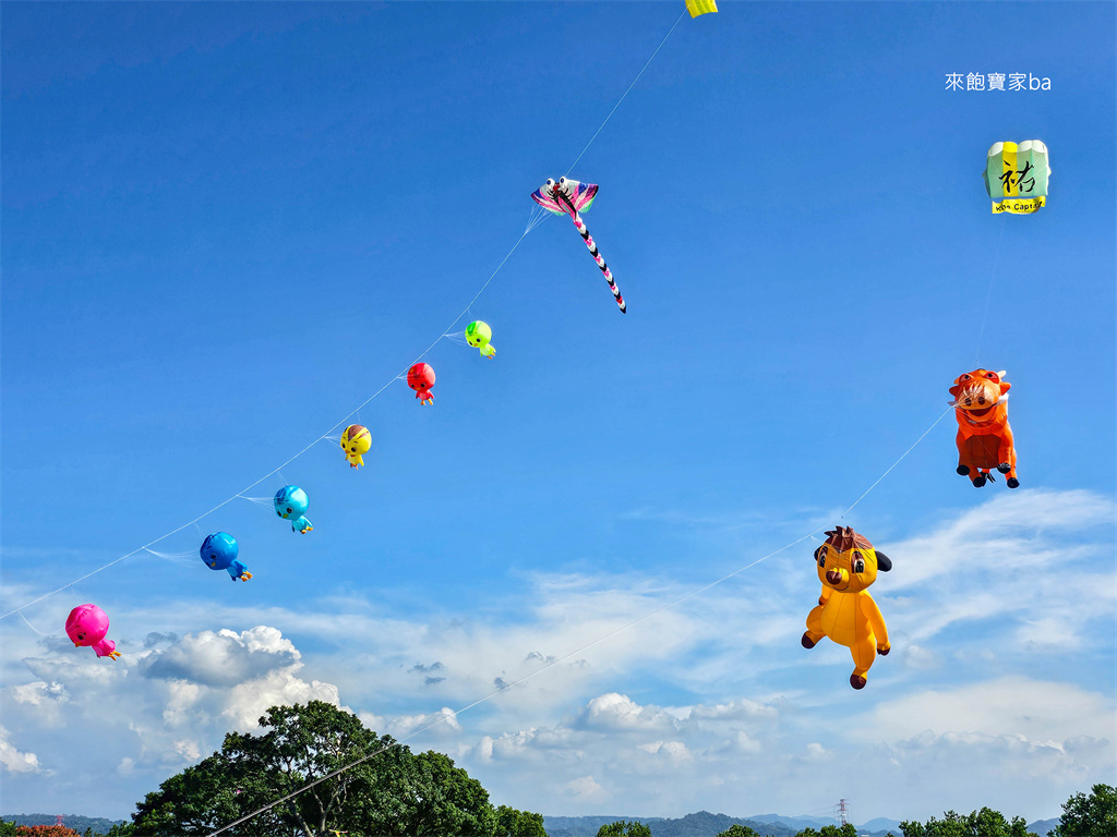 台中后里【后里環保公園】週週免費風箏節~各式特色巨型風箏飛上天！ @來飽寶家ba