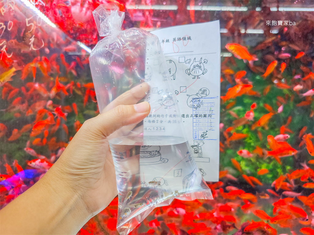 【台中】佛心店家鼓勵小朋友，學生憑100分考卷免費（優惠）兌換~香腸、薯條、冰淇淋、牛排、地瓜球 @來飽寶家ba