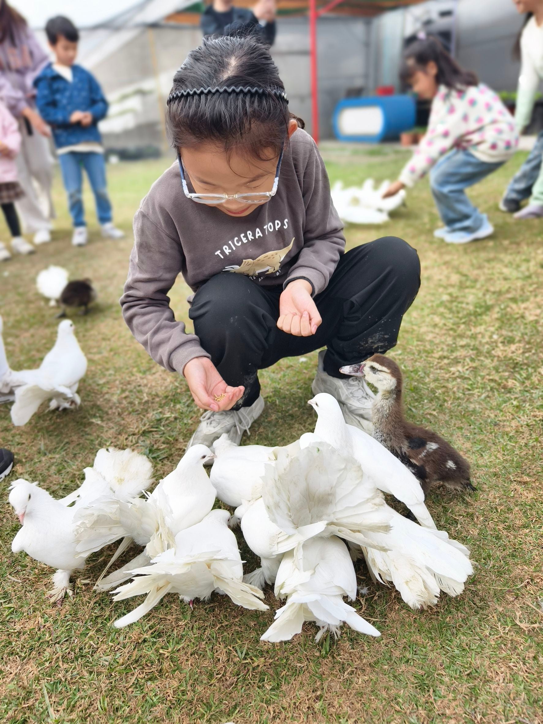 彰化親子景點【樂採果溫室觀光農場】彰化控窯、採草莓、採番茄，親子農遊體驗！ @來飽寶家ba