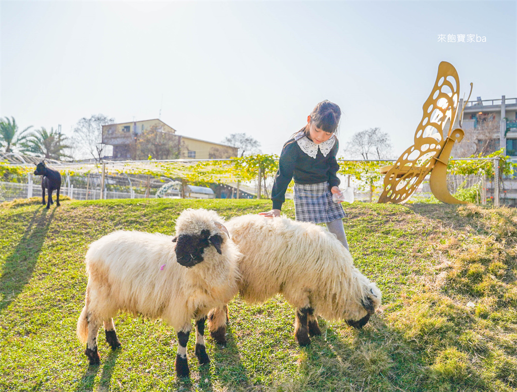 彰化員林景點【琉璃仙境】最新可愛動物區、戲水遊戲區，哈比屋、粉虹教堂、純白教堂夢幻美拍！ @來飽寶家ba