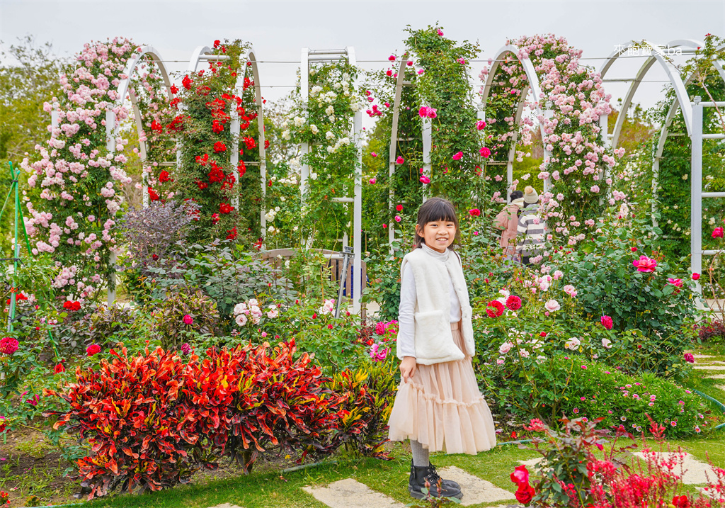 台南後壁【雅聞湖濱療癒森林】千坪玫瑰花園、泥作小屋，免費版小人國！ @來飽寶家ba