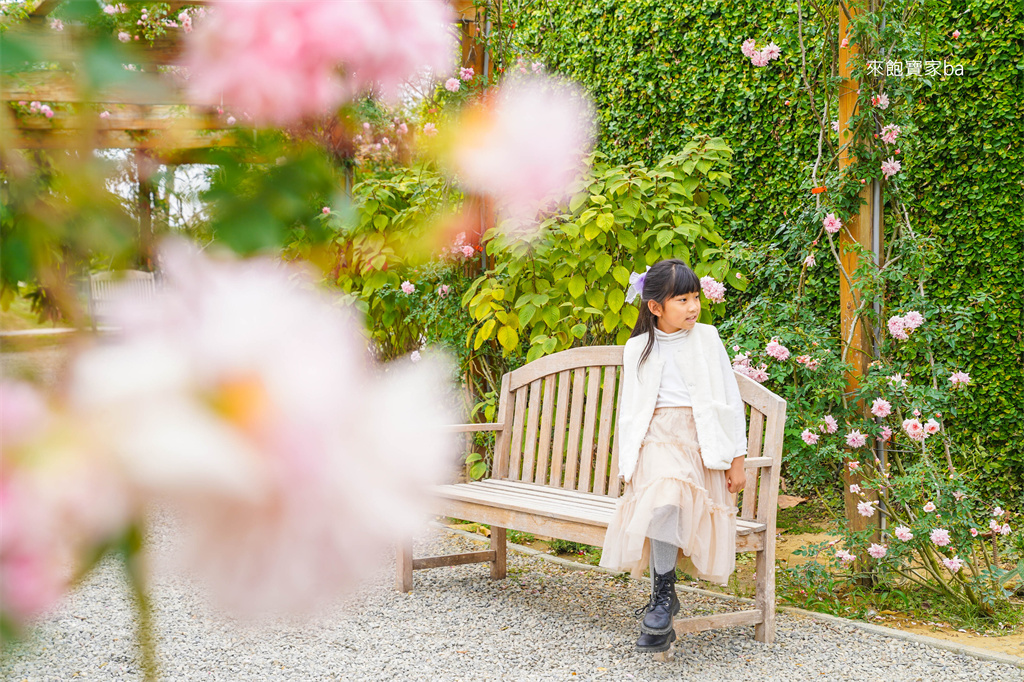 台南後壁【雅聞湖濱療癒森林】千坪玫瑰花園、泥作小屋，免費版小人國！ @來飽寶家ba