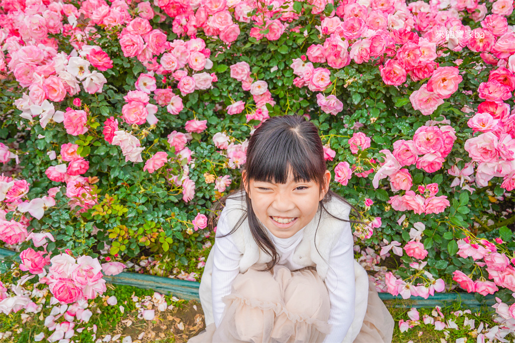 台南後壁【雅聞湖濱療癒森林】千坪玫瑰花園、泥作小屋，免費版小人國！ @來飽寶家ba