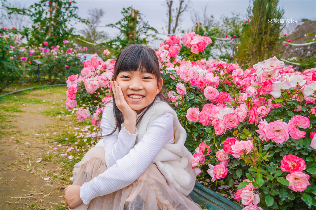 台南後壁【雅聞湖濱療癒森林】千坪玫瑰花園、泥作小屋，免費版小人國！ @來飽寶家ba