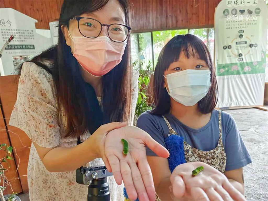 【達特楊眼科】SFAIR TransPRK 近視雷射優缺點、評估、檢查心得 @來飽寶家ba