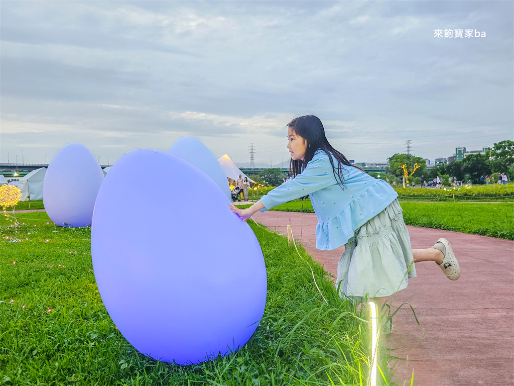 【2025新北河濱蝶戀季・初夏奇境】8萬株花海秘境，夜賞璀璨光影，邂逅初夏才有的浪漫！（交通、活動資訊） @來飽寶家ba