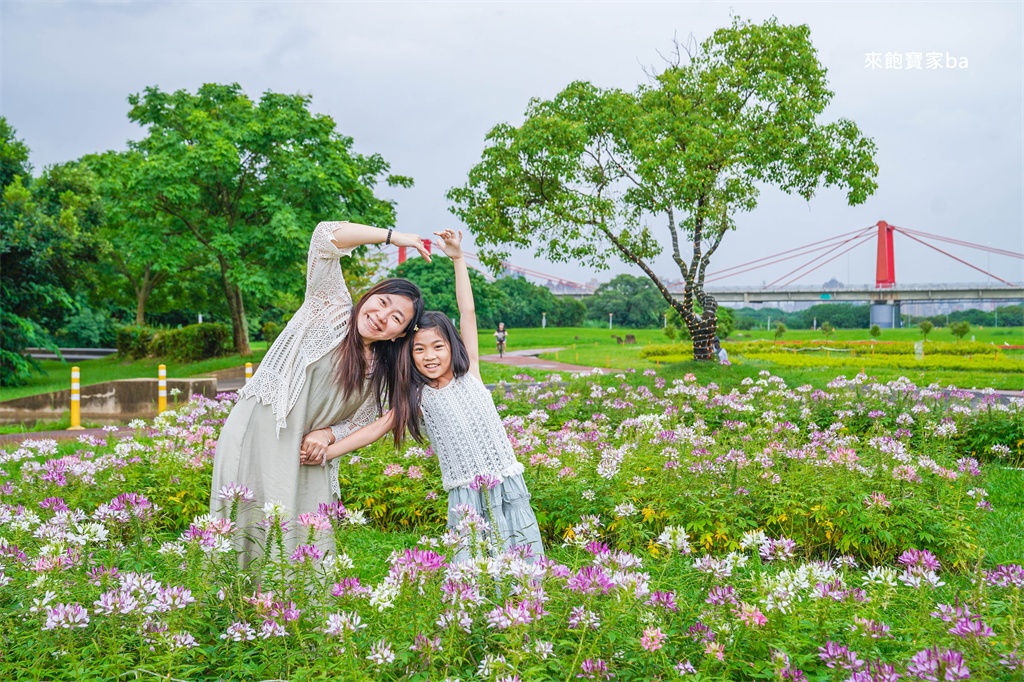 【2025新北河濱蝶戀季・初夏奇境】8萬株花海秘境，夜賞璀璨光影，邂逅初夏才有的浪漫！（交通、活動資訊） @來飽寶家ba