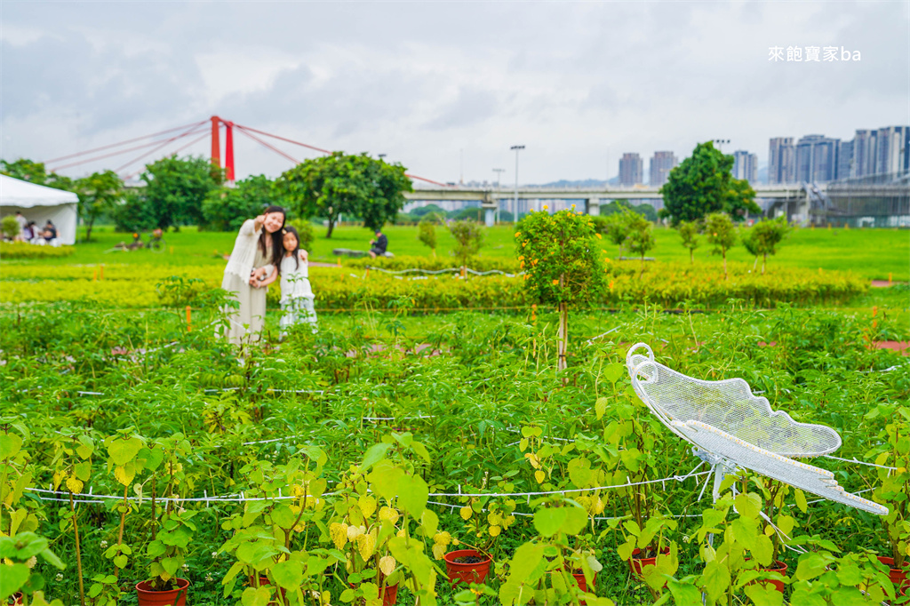 【2025新北河濱蝶戀季・初夏奇境】8萬株花海秘境，夜賞璀璨光影，邂逅初夏才有的浪漫！（交通、活動資訊） @來飽寶家ba