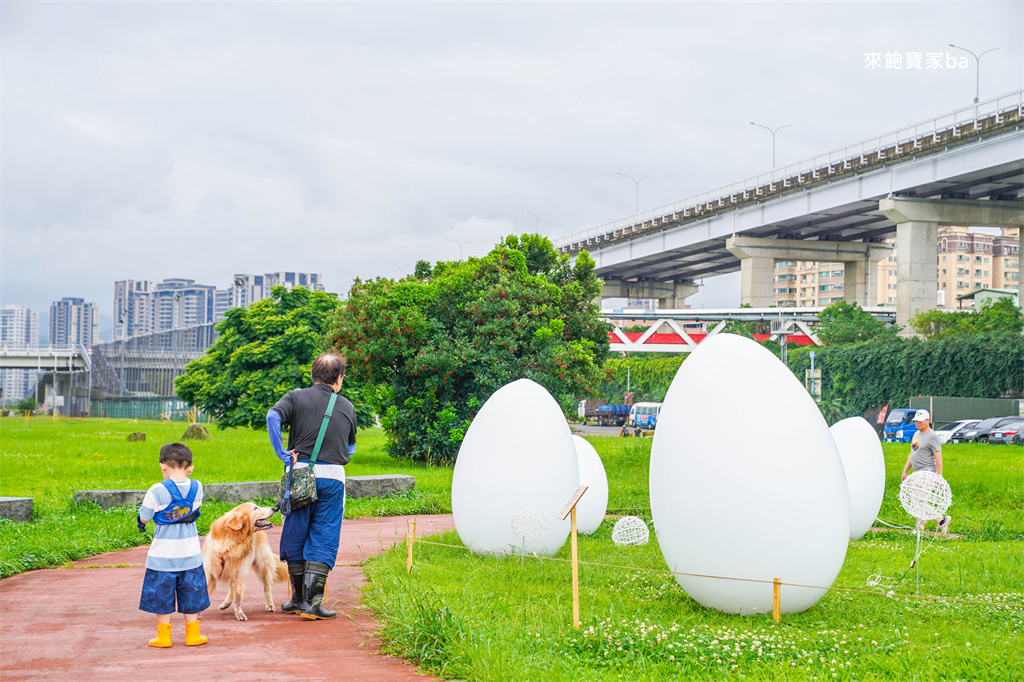 【2025新北河濱蝶戀季・初夏奇境】8萬株花海秘境，夜賞璀璨光影，邂逅初夏才有的浪漫！（交通、活動資訊） @來飽寶家ba