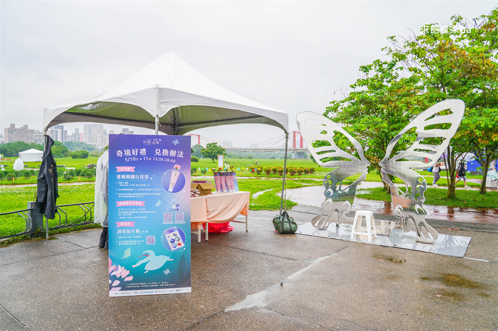 【2025新北河濱蝶戀季・初夏奇境】8萬株花海秘境，夜賞璀璨光影，邂逅初夏才有的浪漫！（交通、活動資訊） @來飽寶家ba