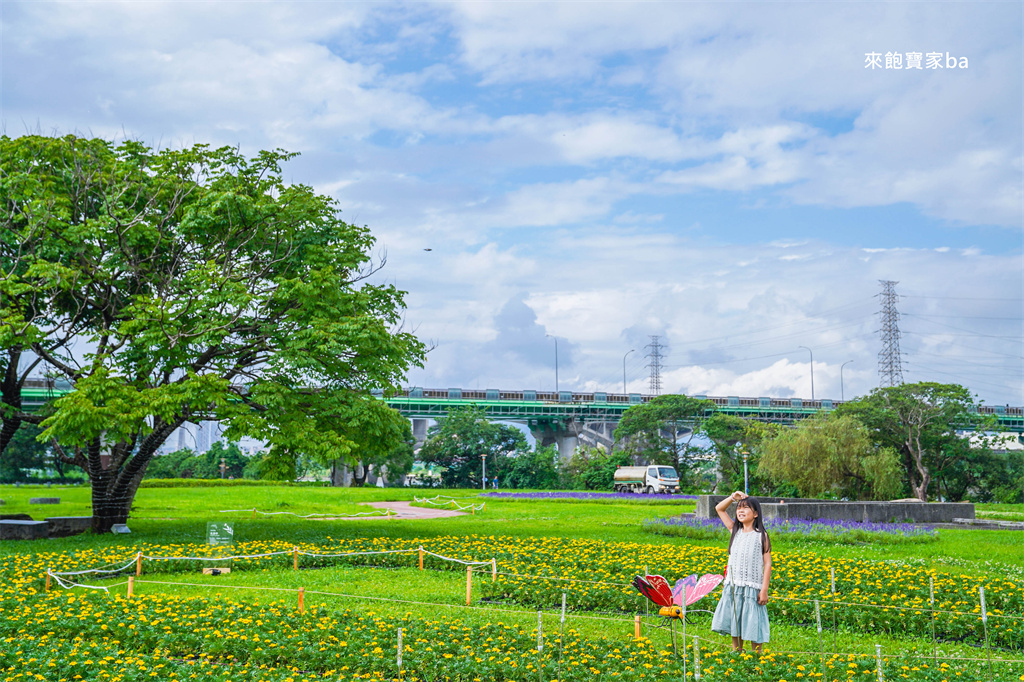 【2025新北河濱蝶戀季・初夏奇境】8萬株花海秘境，夜賞璀璨光影，邂逅初夏才有的浪漫！（交通、活動資訊） @來飽寶家ba