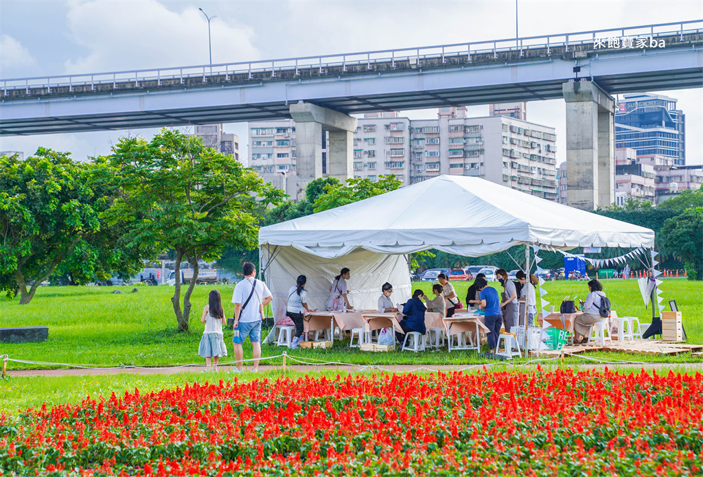 【2025新北河濱蝶戀季・初夏奇境】8萬株花海秘境，夜賞璀璨光影，邂逅初夏才有的浪漫！（交通、活動資訊） @來飽寶家ba