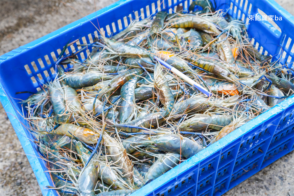 台中海鮮推薦【阿布潘水產】台中超人氣海鮮超市，海鮮控必買活體海鮮、生魚片，必逛假日市集 @來飽寶家ba